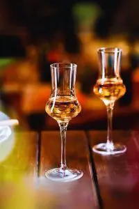 Verre tulipe à dégustation 120 ml - Idéal pour sublimer les arômes du whisky et des spiritueux