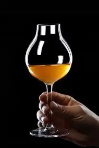 Gros plan sur un verre tulipe de dégustation de spiritueux, mettant en valeur sa transparence.