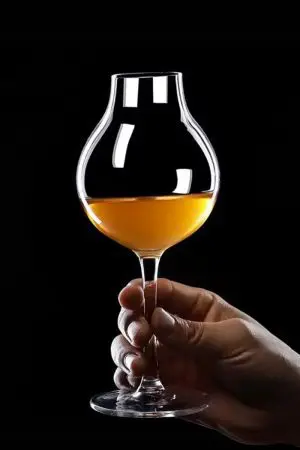 Gros plan sur un verre tulipe de dégustation de spiritueux, mettant en valeur sa transparence.