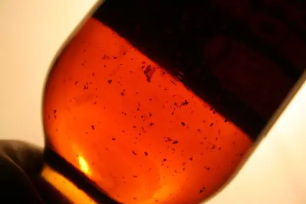gros plan sur une bouteille de whisky montrant des dépôts au fond du liquide