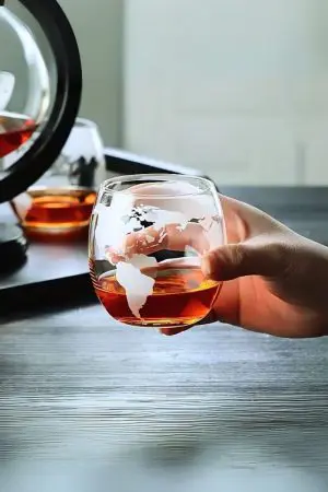 verre à whisky arrondi gravé des continents tenu en main